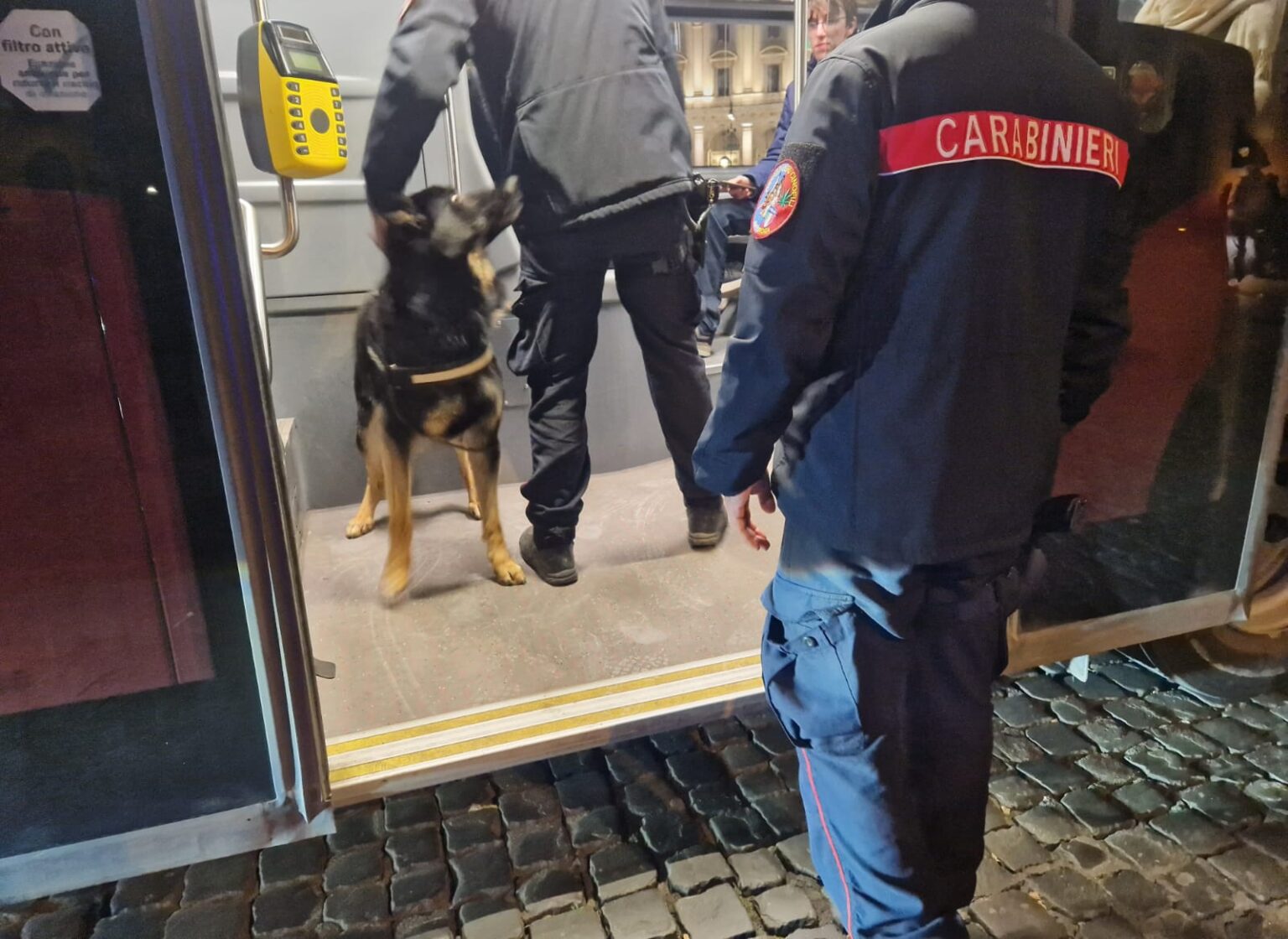 Palestrina. I Carabinieri arrestano due coniugi