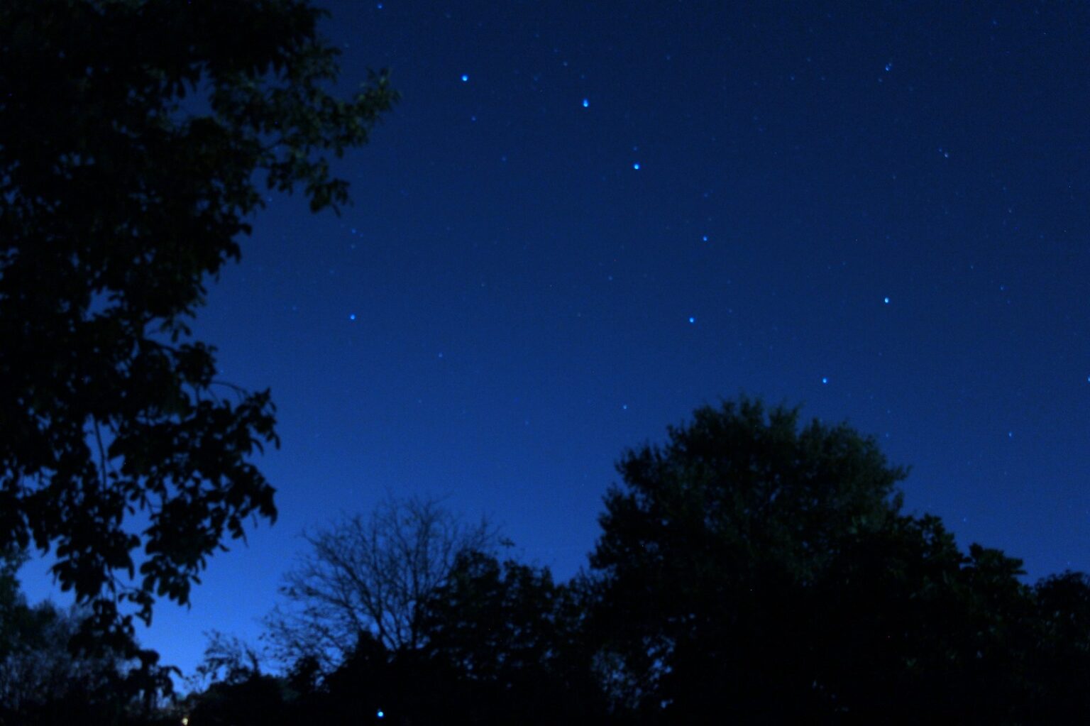 Frosinone. Venerdì al Teatro Vittoria un viaggio nell’universo con l’astrofisico Gianluca Masi