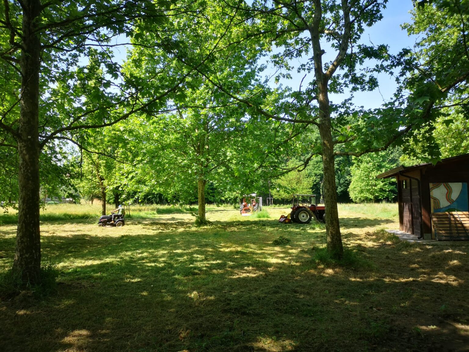 Ferentino, continuano gli interventi sul verde pubblico